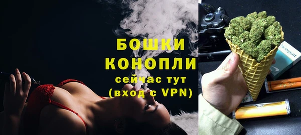 ГАЛЛЮЦИНОГЕННЫЕ ГРИБЫ Карпинск