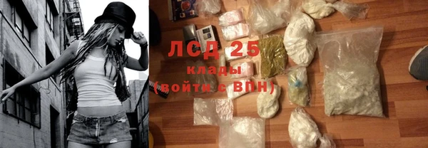 ГАЛЛЮЦИНОГЕННЫЕ ГРИБЫ Карпинск