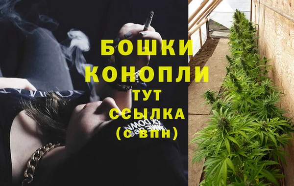ГАЛЛЮЦИНОГЕННЫЕ ГРИБЫ Карпинск