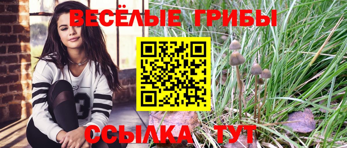 Псилоцибиновые грибы Magic Shrooms Кубинка